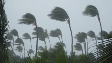 Photo of Onda tropical provocará lluvias y fuertes vientos en Córdoba durante el fin de semana