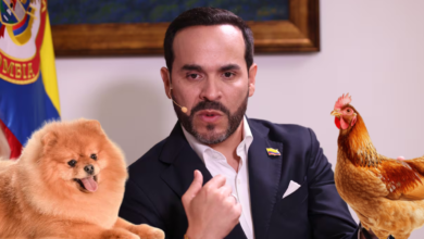 Photo of Presidente sanciona ley que convierte en delito autónomo el abuso sexual de animales en Colombia