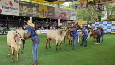 Photo of Feria Nacional Cebú impulsa desde Montería una ganadería más productiva, tecnológica y sostenible
