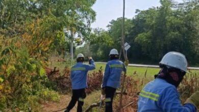 Photo of Fuertes lluvias afectan el servicio de energía en nueve municipios de Sucre