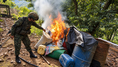 Photo of Ejército destruyó dos laboratorios de pasta base de coca en zona rural de Valdivia, Antioquia