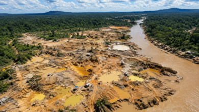 Photo of Sobrevuelo evidencia el impacto de la minería ilegal en el Bajo Cauca Antioqueño