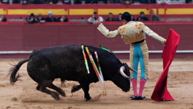 Photo of “Adiós a las corridas de toros” : Corte mantiene en firme la prohibición desde 2027