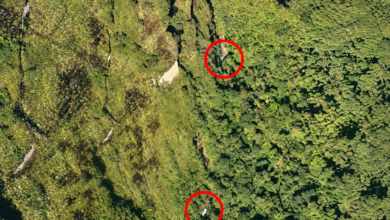 Photo of Fuerza aérea ubicó aeronave perdida que cubría la ruta Condoto–Guaymaral