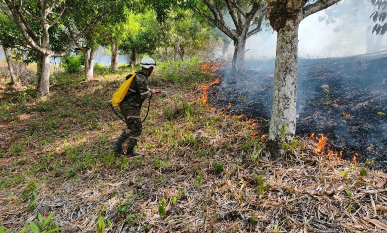 Incendio forestal en Tolima durante labores de atención de la emergencia.