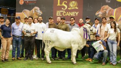 Photo of Feria Nacional Cebú dejó más de 15.000 visitantes y ocupación hotelera del 95 %