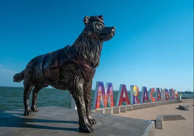 Tsunami, perro rescatista homenajeado con una estatua en Maracaibo.