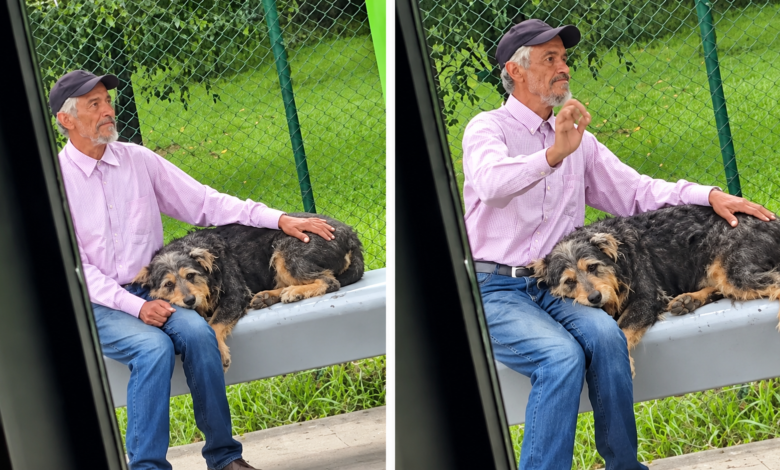 Adulto mayor junto a su perro en un paradero de bus en El Santuario, Antioquia.