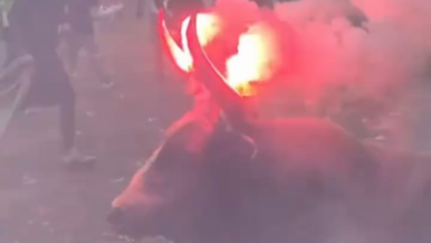 Photo of ¡Toro corrió con fuego en los cuernos durante corralejas en Sabanalarga!