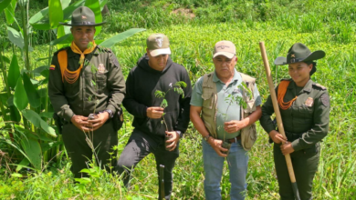 Photo of Sembraron árboles para recuperar y proteger el Humedal Berlín de Montería