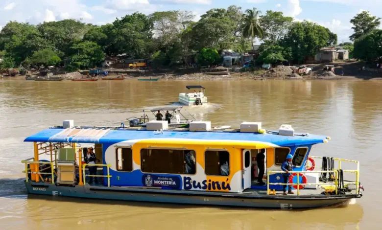 Businú