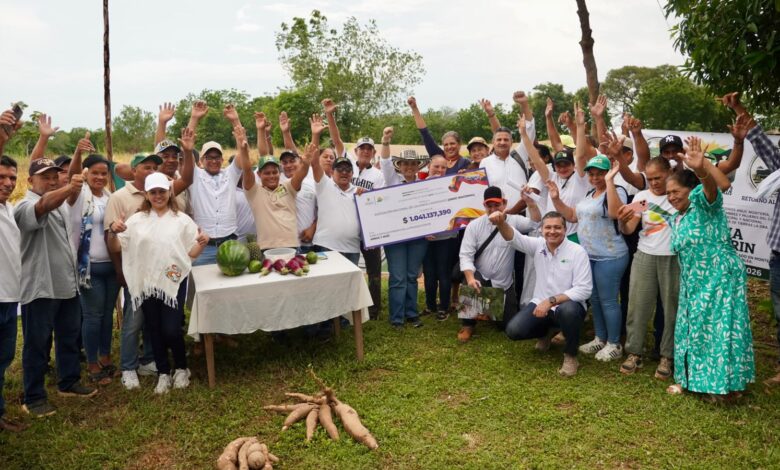 producción agrícola
