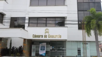 Photo of Afiliados a Cámara Élite podrán promocionar gratis sus empresas en el Instagram de la Cámara de Comercio